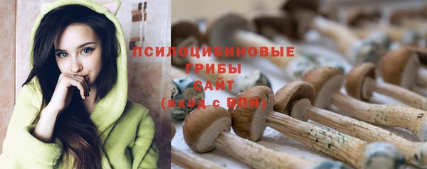 таблы Аркадак