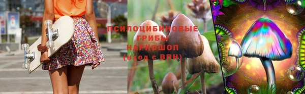 ГАЛЛЮЦИНОГЕННЫЕ ГРИБЫ Арсеньев